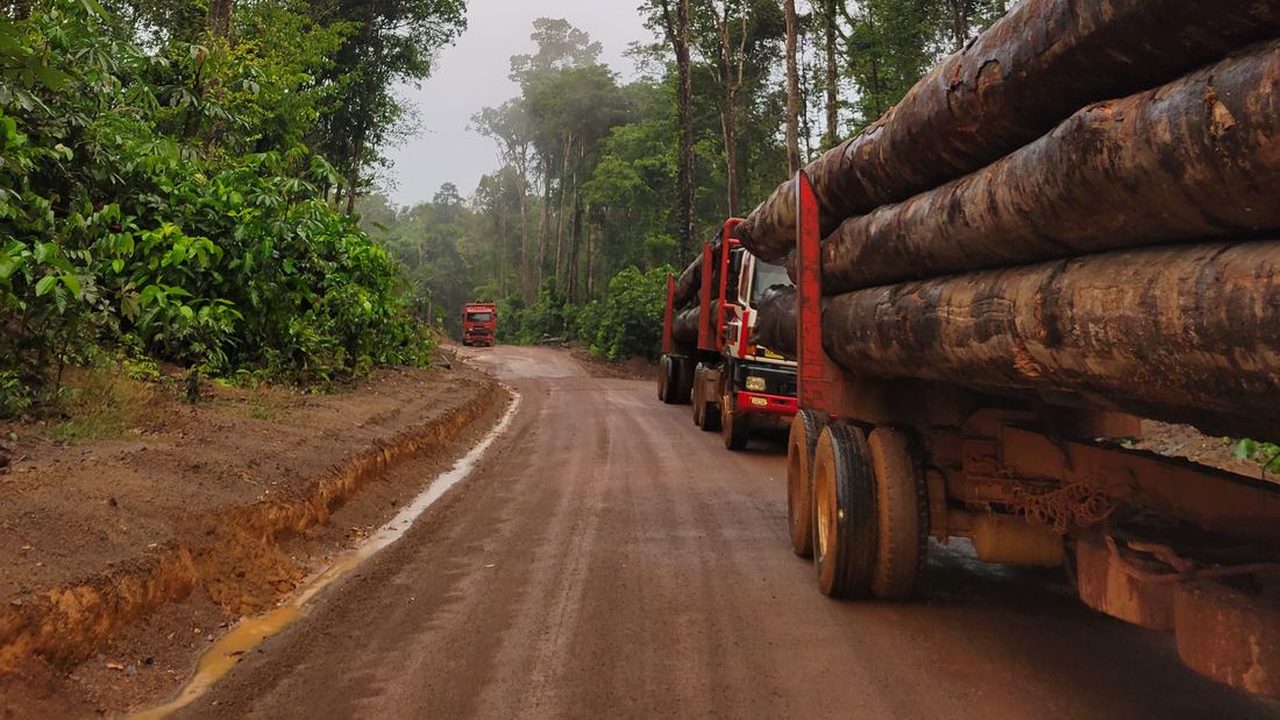 Loaded timber truck on a forest road in Para, standing forest on both sides