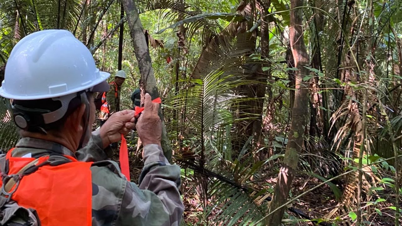 Community member in helmet and safety vest marking a tree with red tape during forest inventory training in Para