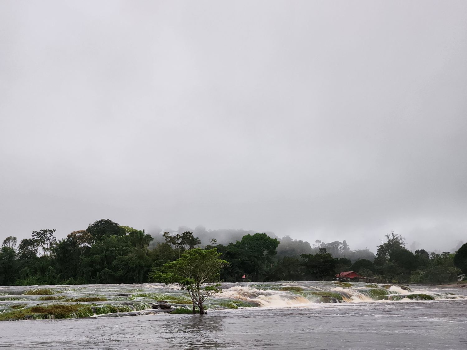 Rainforest river rapids in Suriname
